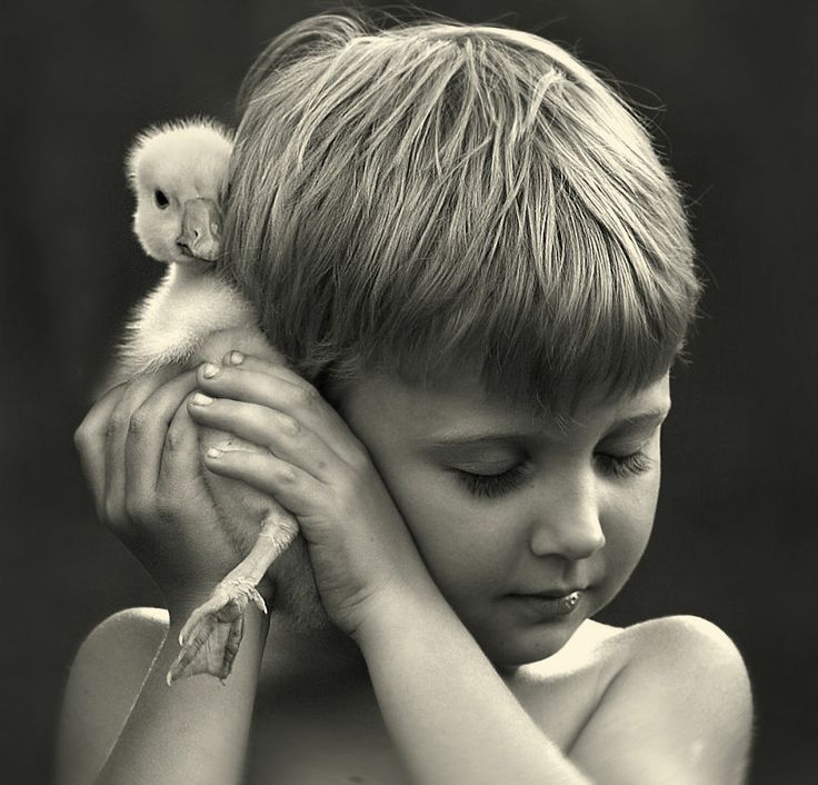 adorable kids with animals